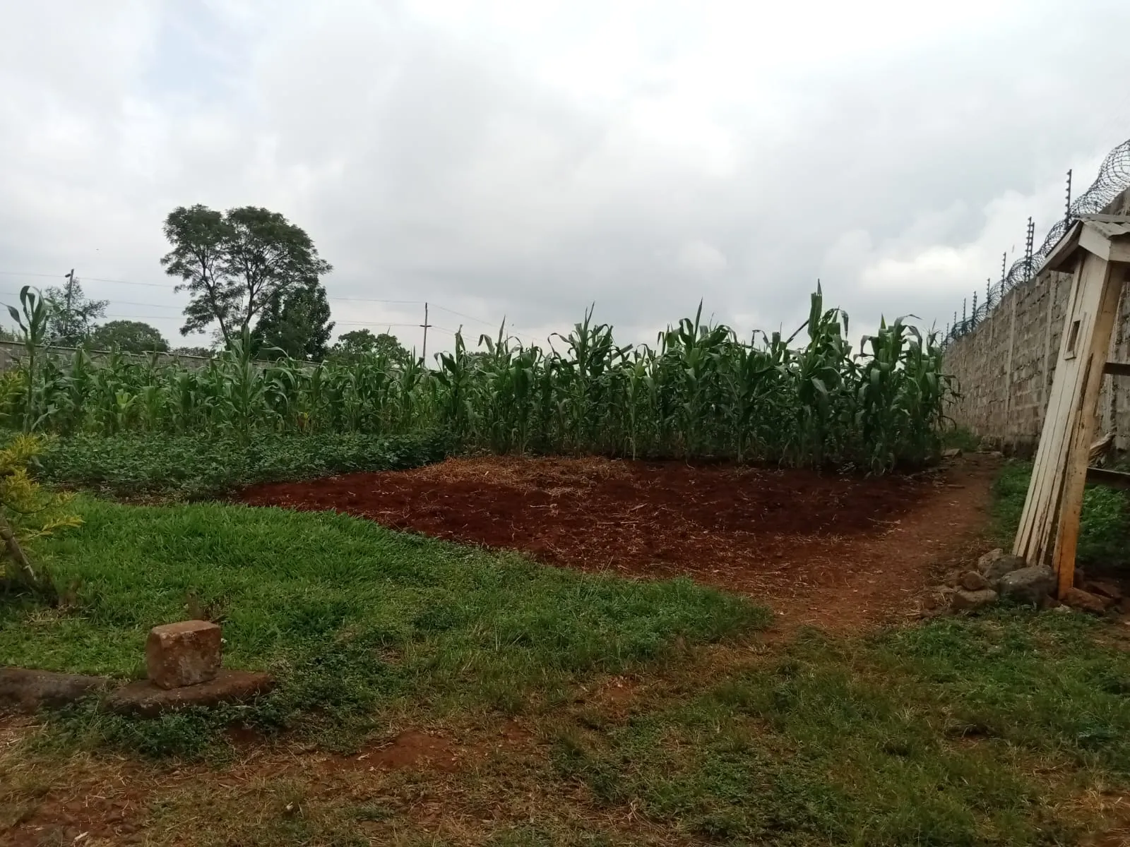Prime half-acre residential plot in Runda